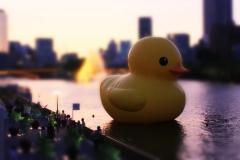 広島出身、大阪在住会社員。ミステリー、ラノベ、マンガ何でも読む。マダミス勉強中。新参者のFPP、BRADIOについてのツイート多めなのでミュート推奨m(_ _)m