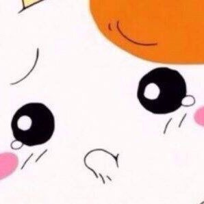 VOTE_vote0408's profile picture. 