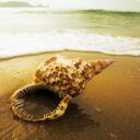 Ellen Cherry Charles - @PaintedStick - Twitter