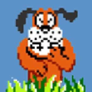 8o_0's profile picture. el perrito que se burla de vos. Chaotic/Good