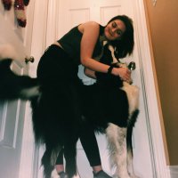 Taylor Marie (@_taylorjamieson) 's Twitter Profile