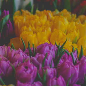 4mysocalledlife's profile picture. modern women trying to find her way through life... one silly mistake at a time... This is all about my so called life...