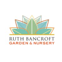 Ruth Bancroft Garden(@RBancroftGarden) 's Twitter Profile Photo