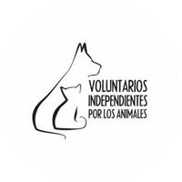 VoluntariosxAnimales(@VoluntariosxA) 's Twitter Profileg