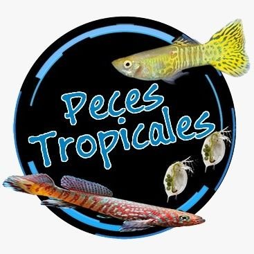 TropicalesPeces Profile Picture