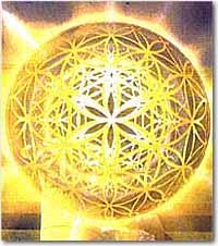 Advanced merkaba and flower of life symbol trainer. In addition left eye of horus emotional training program. 1$ emotion workbook you can download.