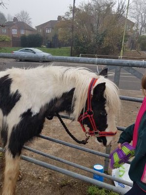 AngelHo99389673's profile picture. 