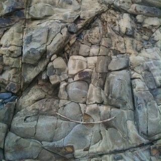 piraiiiii's profile picture. ぴらいです。ハングとパラで空を飛んでいます。これからもいっぱい飛ぶぞー。どうぞよろしく。