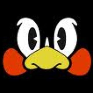 shiige's profile picture. 