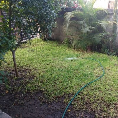 Mzero1991's profile picture. Que puedo decir pasarla bien cont......