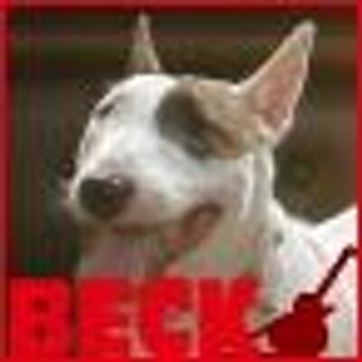 映画 Beck チーム Beck Movie Twitter