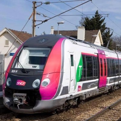 🚦Collectif de la ligne P pour la branche Meaux-Crécy-Chelles-Paris.