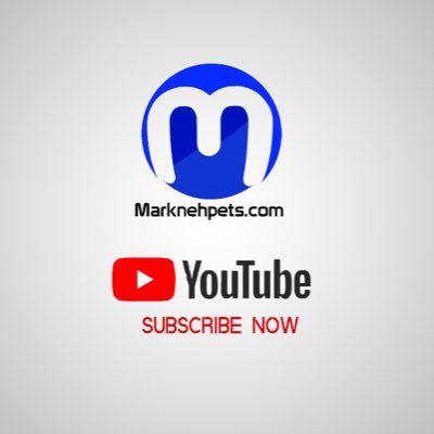 mapkpets's profile picture. I post videos mainly on Holidays,Travel Tips/Guide And Tech https://t.co/10CWGABuSz…