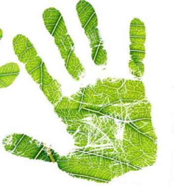 enviromend2's profile picture. Bitesize tips on mending the environment around you🌎