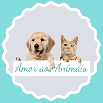 • Incentivando o amor pelos animais e a adoção •      
                                                          
➡️ Instagram oficial: @amoraosanimaisoficial