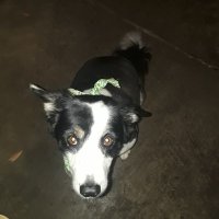 Yeah, I forgot... (@yeahiforgot) 's Twitter Profile