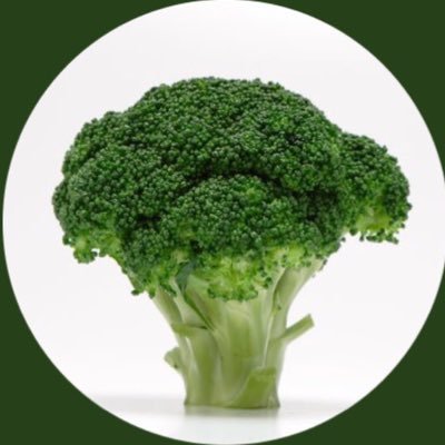 わをんさんのプロフィール画像