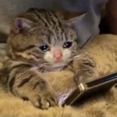 sesinta123's profile picture. 