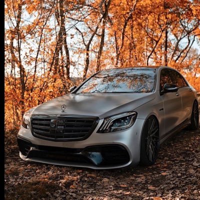 Alaa12581's profile picture. 