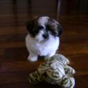 Débora Luna - @aninhadede - Twitter