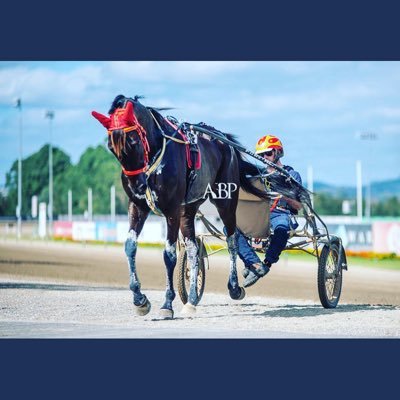 mattiejcraven@gmail.com Harness Racing Trainer/Driver from Terang, South West Victoria, Australian 0447523591 #getinvolved