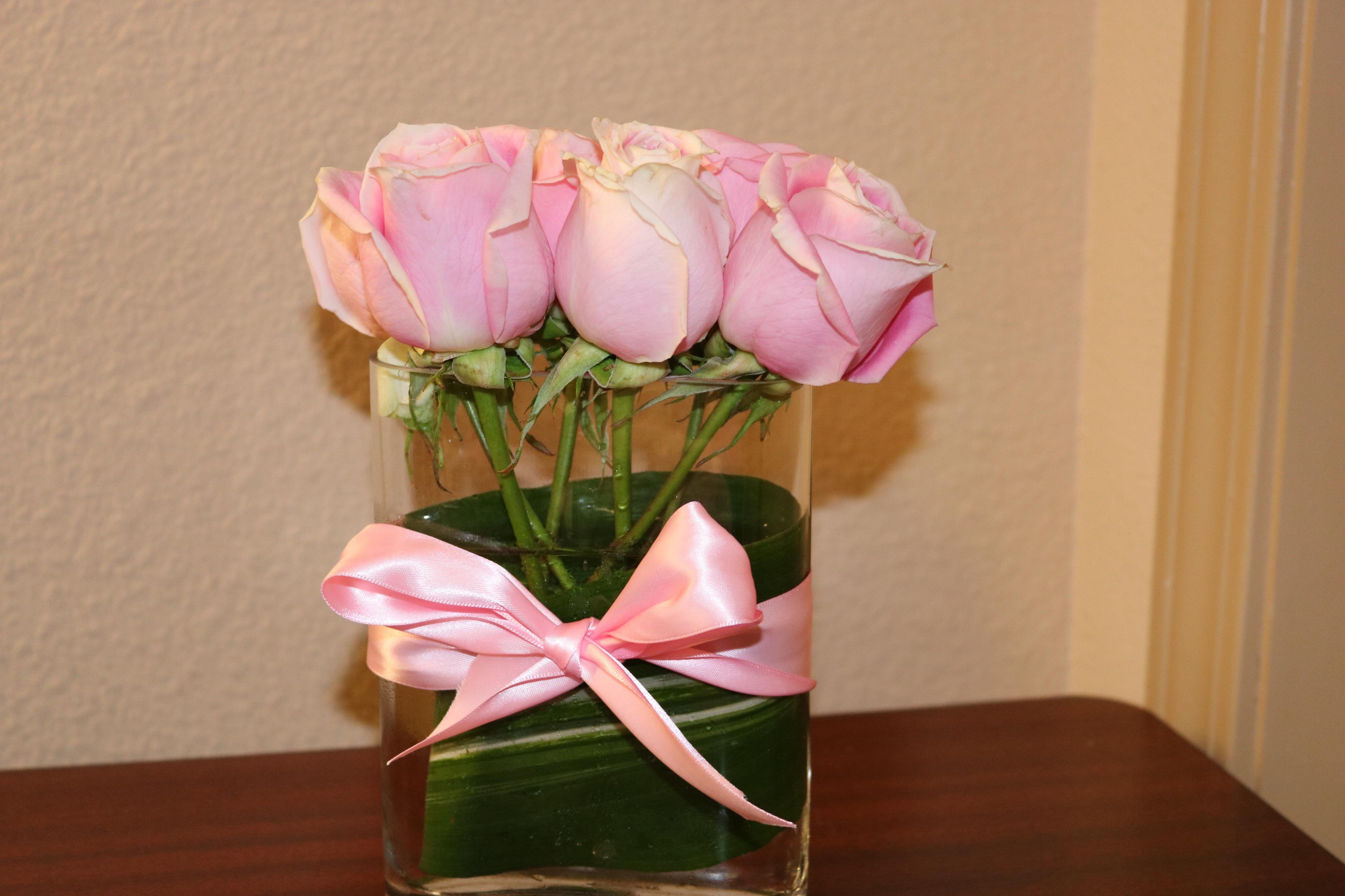 ShirleyJaye's profile picture. No Drama