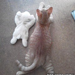 basanai181214's profile picture. 