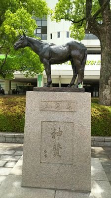 DonkeyKeiba31's profile picture. 競馬大好き🍀😌🍀