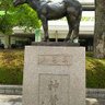 DonkeyKeiba31's profile picture. 競馬大好き🍀😌🍀