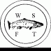 WSFTrust (@wsftrust) Twitter profile photo