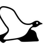 Partridge Hooks (@partridge_hooks) 's Twitter Profile
