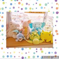 【公式】浦和一女音楽部 (@urawa1jomusic) 's Twitter Profile Photo 【公式】浦和一女音楽部 (@urawa1jomusic) 's Twitter Profile Photo