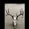 stacey58271813's profile picture. I love hunting and finishing !