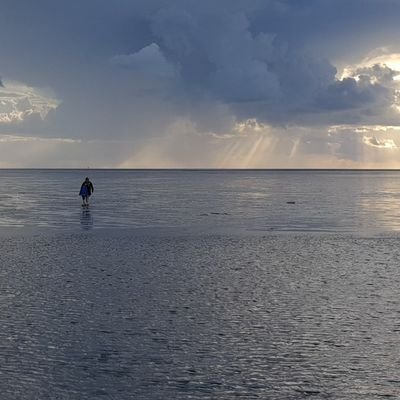 frank_ldk's profile picture. Bäume, Wälder, Berge, Natur.
IT-Admin, Metalhead, Chopper-Fahrer.