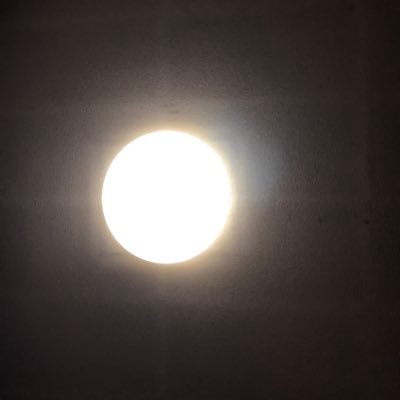 DiaryofEveryday's profile picture. 