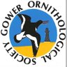 GOWEROS1's profile picture. Official twitter feed for Gower Ornithological Society #Gowerbirds #NPTbirds #GowerRingingGroup