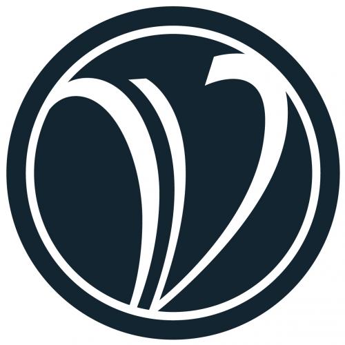 VACEOs connects CEOs of growing small and mid-sized businesses through peer roundtables and exclusive events. Fomerly known as Virginia Council of CEOs.