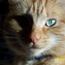 Steve Hawkins (@darkhawk71) Twitter profile photo Steve Hawkins (@darkhawk71) Twitter profile photo