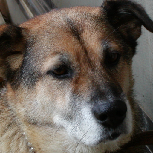 joy04d's profile picture. 東京近傍でまったり働いてます(๑╹ω╹๑ )