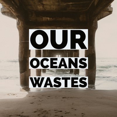 We are a group of students who want to help our oceans _ Nous sommes un groupe d'étudiants qui veulent nettoyer nos océans