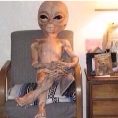 kumar_ashray's profile picture. And here you are living
despite it all