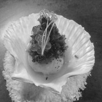 kensymons@privatechef (@kensymonspriva1) 's Twitter Profile