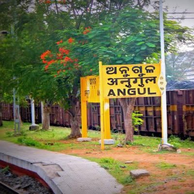 Angul Buzz