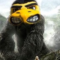 Impetuous Hawkeye* (@impetuoushawk) 's Twitter Profile Photo Impetuous Hawkeye* (@impetuoushawk) 's Twitter Profile Photo