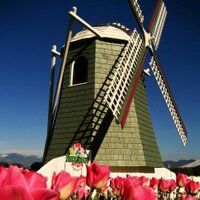 RoozenGaarde (@roozengaarde) 's Twitter Profile