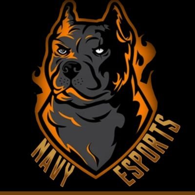 Bbs7E's profile picture. Team eSport Française 🇨🇵🇨🇵évoluant sur APEX LEGENDS (PS4) Structuré par : @esports_navy
Joueurs :( AlexyG111) (stylan76) (TiTi76)