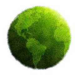 I am single father with 2 kids. I am a firm believer of green energy and health.