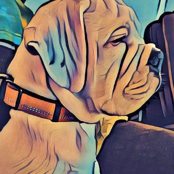 JaxxTek's profile picture. 