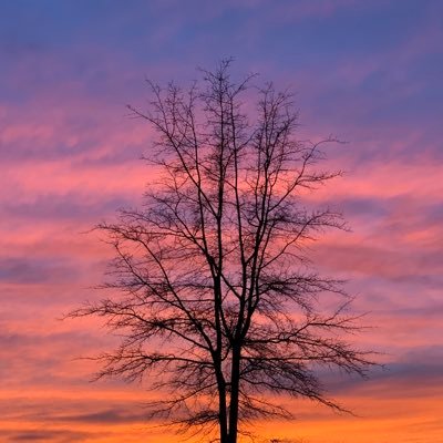 Writer. Landscape Photographer. Book reviewer. Beta reader. Nature lover. I hope sharing my world view helps brighten yours.