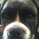 Adrian Pettitt - @mueslimanic - Twitter